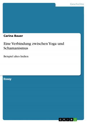 Cover of the book Eine Verbindung zwischen Yoga und Schamanismus by Reinhold Steinhardt