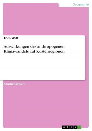 Cover of the book Auswirkungen des anthropogenen Klimawandels auf Küstenregionen by Frederic Breidt