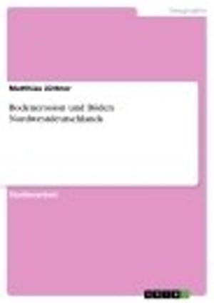 Cover of the book Bodenerosion und Böden Nordwestdeutschlands by Daniela Angelini