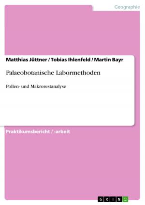 Cover of the book Palaeobotanische Labormethoden by Christian Blume