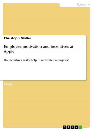 Cover of the book Employee motivation and incentives at Apple by Christofer Burger
