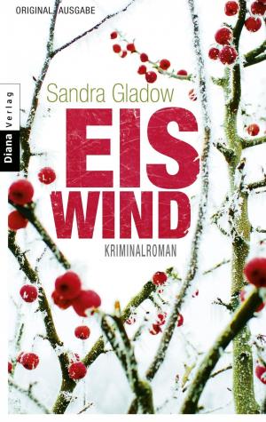 Cover of the book Eiswind by Eva-Maria Zurhorst