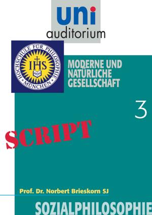 Cover of the book Sozialphilosophie, Teil 3 by Josef Schmidt