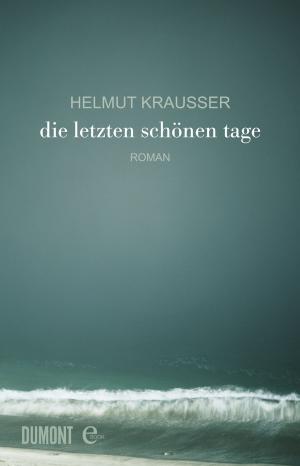 Cover of the book Die letzten schönen Tage by Haruki Murakami