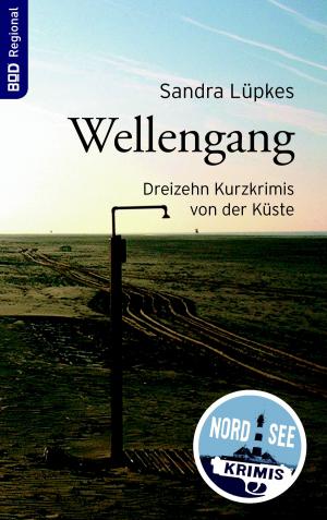 Cover of the book Wellengang by Jolan Rieger