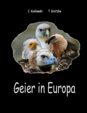 Cover of the book Geier in Europa by Helena Öhrström