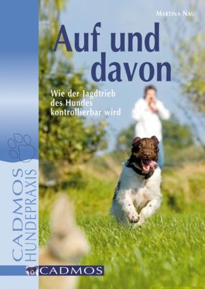 Cover of the book Auf und davon by Susanne Vorbrich