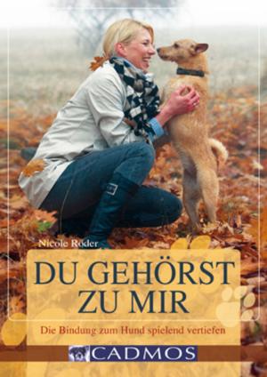 Cover of the book Du gehörst zu mir by Anke Rüsbüldt