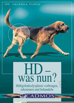 Cover of the book HD - was nun by Christina Sondermann