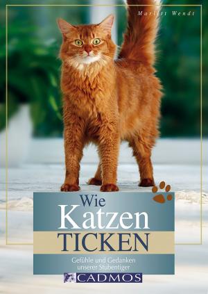 Book cover of Wie Katzen ticken