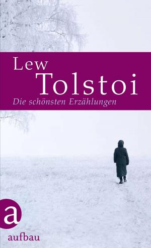 Cover of the book Die schönsten Erzählungen by Katharina Peters