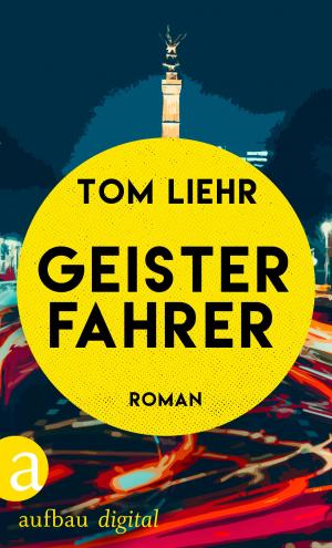 Cover of the book Geisterfahrer by Inger-Maria Mahlke