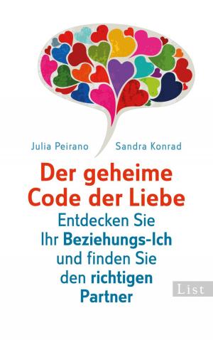 Cover of the book Der geheime Code der Liebe by Michael Theurillat