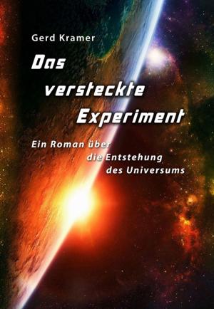 Book cover of Das versteckte Experiment