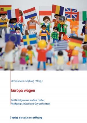 Cover of the book Europa wagen by Stephan Schmidt
