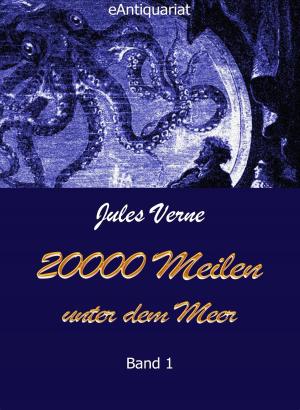 Cover of the book 20000 Meilen unter dem Meer by Avery Nunez