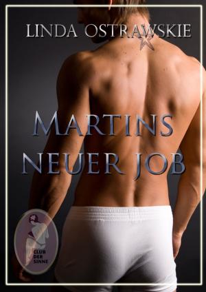 Cover of the book Martins neuer Job by Linda Ostrawskie