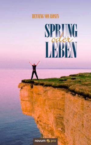 Cover of the book Sprung oder Leben by Noemi Poka