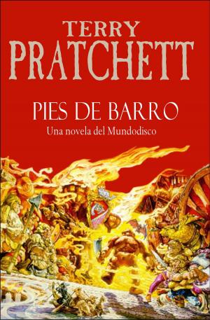 Book cover of Pies de barro (Mundodisco 19)