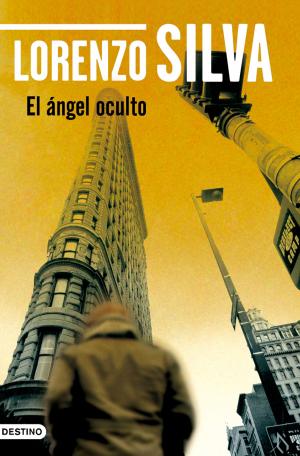 Cover of the book El ángel oculto by Antía Eiras