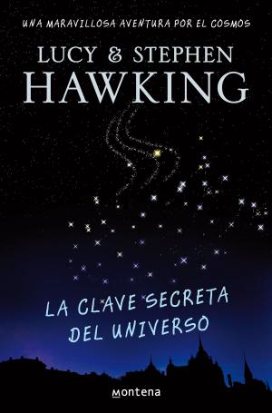 Cover of the book La clave secreta del universo (La clave secreta del universo 1) by David De Jorge, Martín Berasategui