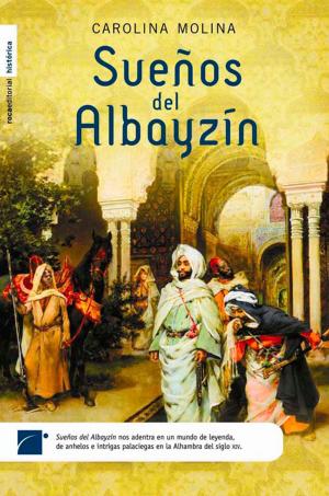 Book cover of Sueños del Albayzín