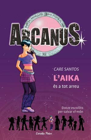 Cover of the book L'Aika és a tot arreu by Geronimo Stilton