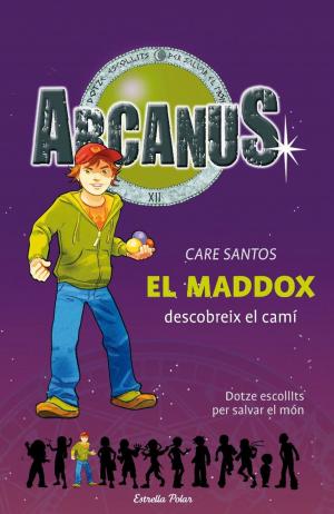 Cover of the book El Maddox descobreix el camí by Víctor Amela.