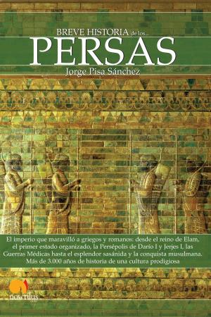Cover of the book Breve historia de los persas by Luis Zueco Giménez