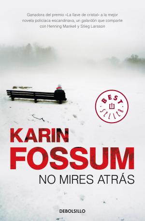 Cover of the book No mires atrás (Inspector Sejer 2) by Jordi Sierra i Fabra