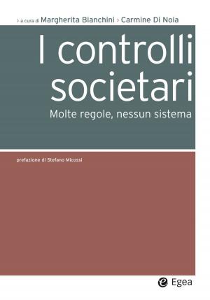 Cover of the book I controlli societari by Johan Stenebo