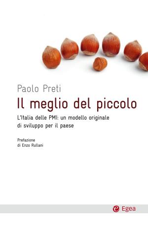Cover of the book Il meglio del piccolo by Geert Lovink