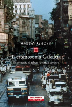 Cover of the book Il cromosoma Calcutta by Amitav Ghosh