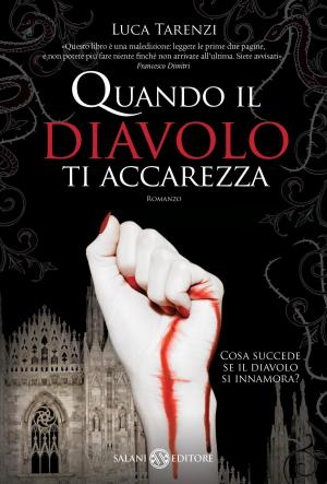 Cover of the book Quando il diavolo ti accarezza by Stefan Spjut