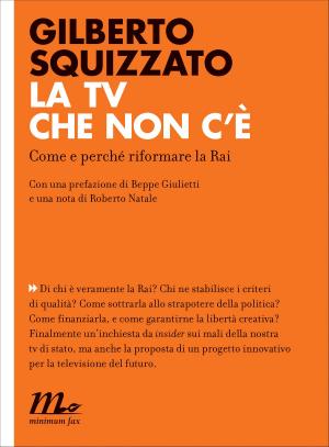 Cover of the book La tv che non c'è. Come e perché riformare la Rai by Massimo Carlotto, Luca D'Andrea, Maurizio de Giovanni