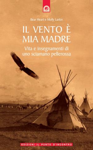 Cover of the book Il vento è mia madre by Gaétan Brouillard