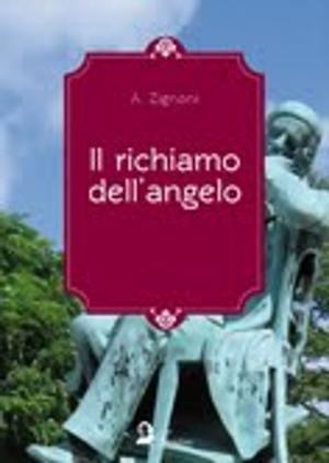 Cover of Il richiamo dell'angelo