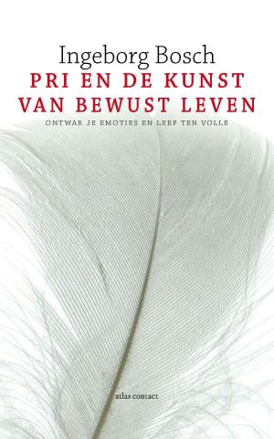 Cover of the book PRI en de kunst van bewust leven by Lieve Joris