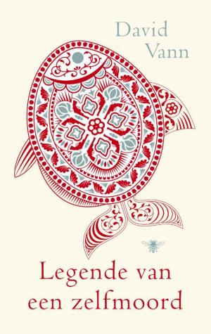 Cover of the book Legende van een zelfmoord by Anita Terpstra