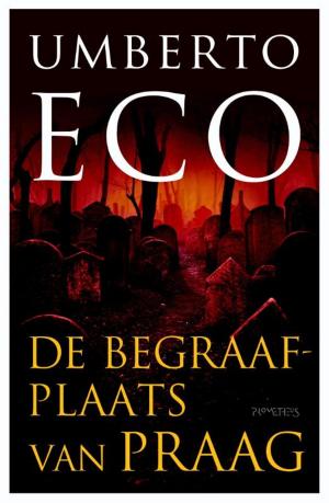 Cover of the book De begraafplaats van Praag by Tom Lanoye