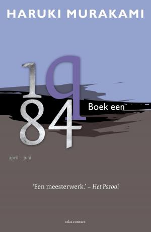 Cover of the book 1q84 by Adriaan van Dis