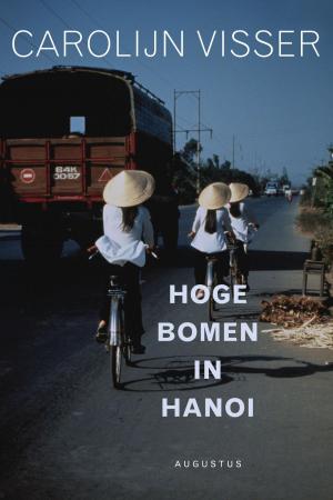 Cover of the book Hoge bomen in Hanoi by Pieter Steinz, Bertram Mourits