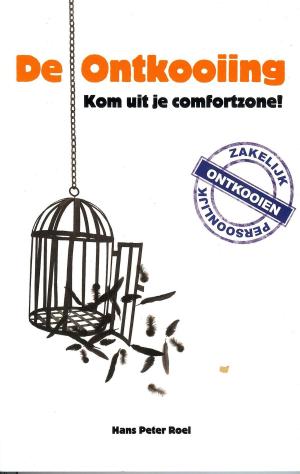 Cover of the book De Ontkooiing by Maarten Tengbergen