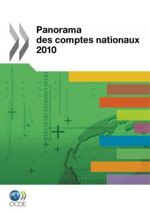 Cover of Panorama des comptes nationaux 2010
