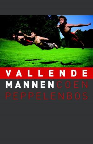 Book cover of Vallende mannen