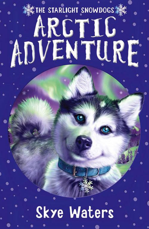 Cover of the book Arctic Adventure (Starlight Snowdogs, Book 2) by Skye Waters, HarperCollins Publishers