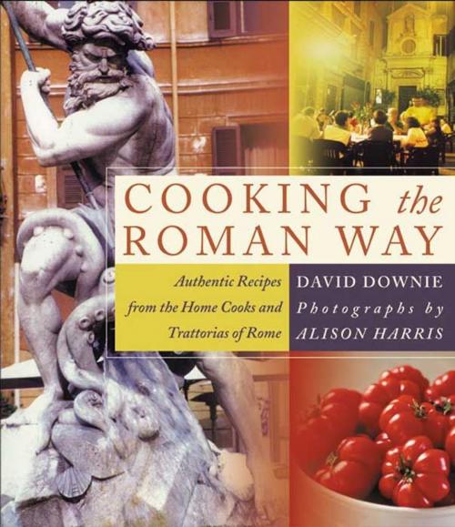 Cover of the book Cooking the Roman Way by David Downie, HarperCollins e-books