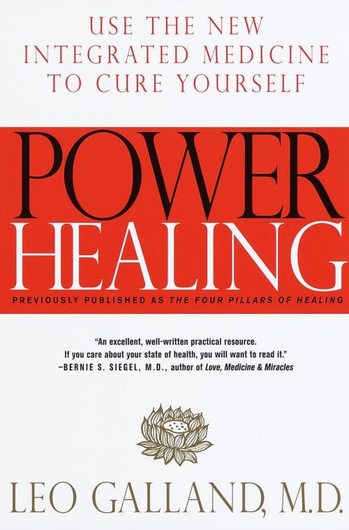 Cover of the book Power Healing by Leo Galland, M.D., Random House Publishing Group