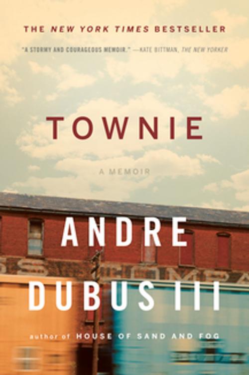Cover of the book Townie: A Memoir by Andre Dubus III, W. W. Norton & Company