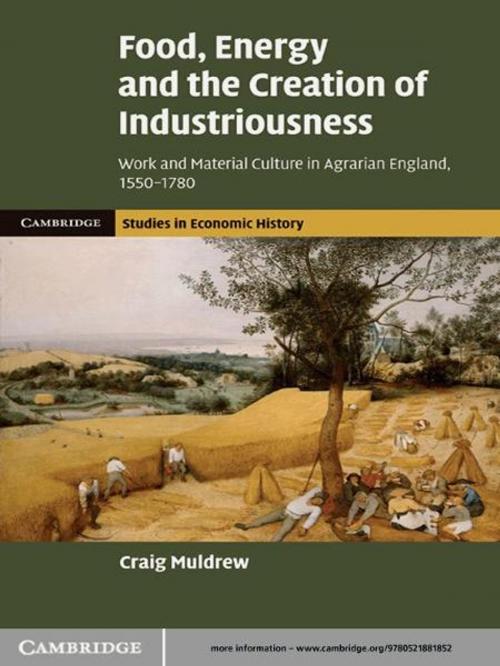 Cover of the book Food, Energy and the Creation of Industriousness by Craig Muldrew, Cambridge University Press